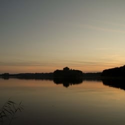 IMG 9534