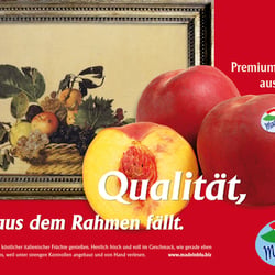 Entwurf Grossplakat