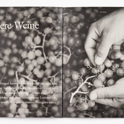 Weingut POLZ Imagebroschüre
