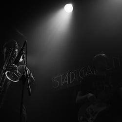 live Konzert Stadtgarten Köln