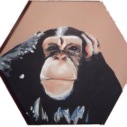 Affe1