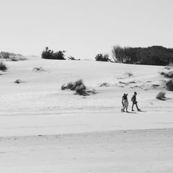 dunas