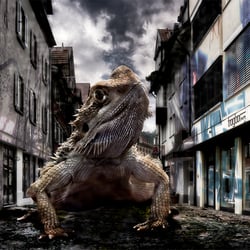 Serie: Echsen-Invasion in Esslingen