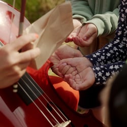 Videoreihe für das Kulturnetzwerk Rosen und Rüben
