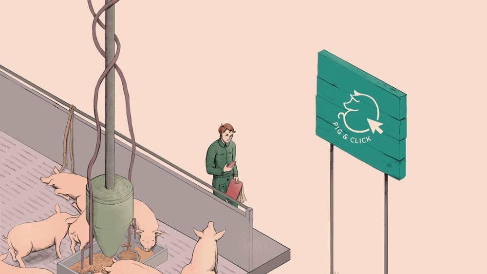 Pig & Click