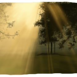 Mini Landscape4