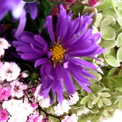 Flower Power / 2022