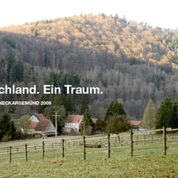 Deutschland. Ein Traum. Neckargemünd.