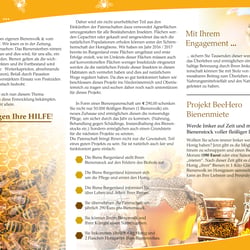 Bienenheld Flyer