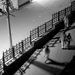 Shimla