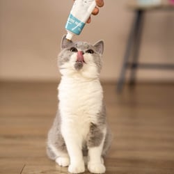 Katzenfutter, Produktshooting