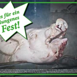 Plakatserie, Konzept gegen Tierqual