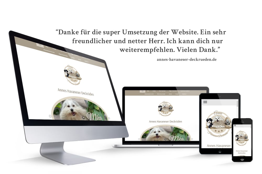 neue Webseite für havaneser deckrüden zucht