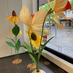 Hagen blüht auf