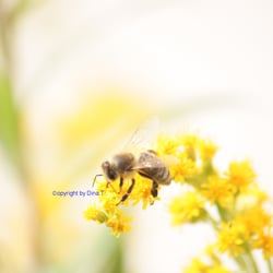 Nature – 2014- Foto Übungen