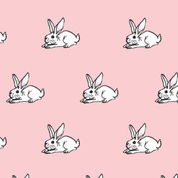 white rabbit 2