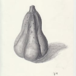 Kürbis