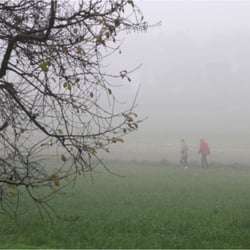 Zwei im Nebel