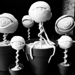 The EyeFamily