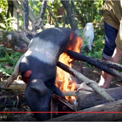 Screenshot5
