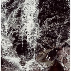 RAINFOREST .07