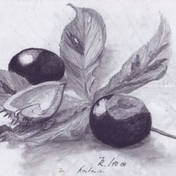 Kastanien