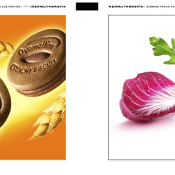 www.wermuthgrafik.ch