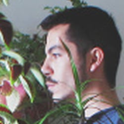 Teatime with plant friends
