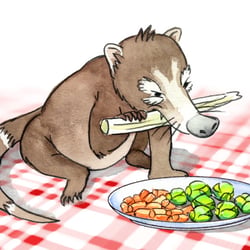 Der kleine, dicke Nasenbär