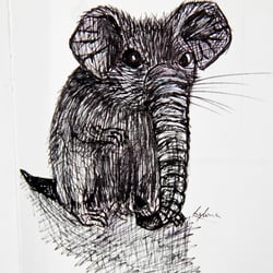 mausefant