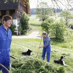 Landwirtschaft