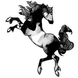 VerenaFaeth horse