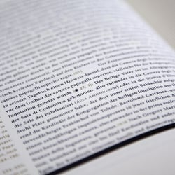 Renaissancebuch / Detail Lauftext und Marginalien