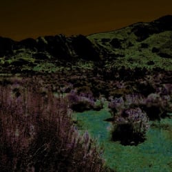 Wüste in Utah