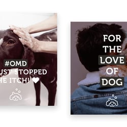 Social Media Content Design