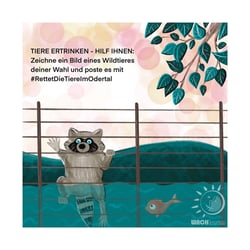 Waschbär – Petition gegen einen Schutzzaun