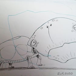 Crazy Turtle, freie Arbeit