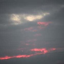 Natur 2012