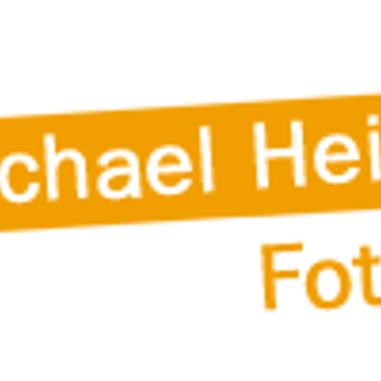 Michael Heim