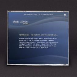 CD DESIGN: Cover für Brainwave Music – back