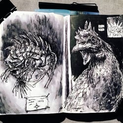 „Chick“, Füllfederhalter, Skizzenbuch