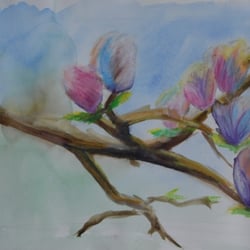 Magnolien