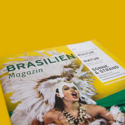 02 Brasilien-Titel-Detail