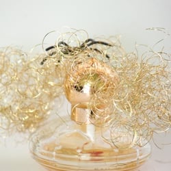Kosmetik Nov. 2012