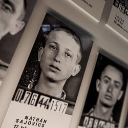 www.martinrohrmann.com