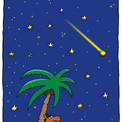 Starry Nights