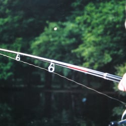 Und dann kam seine Rettung. Er wurde von einem Angler gefangen…