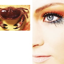 Auge-2