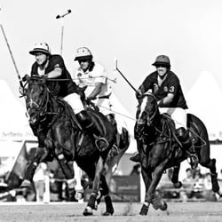 POLO_009