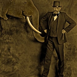 the circus is coming